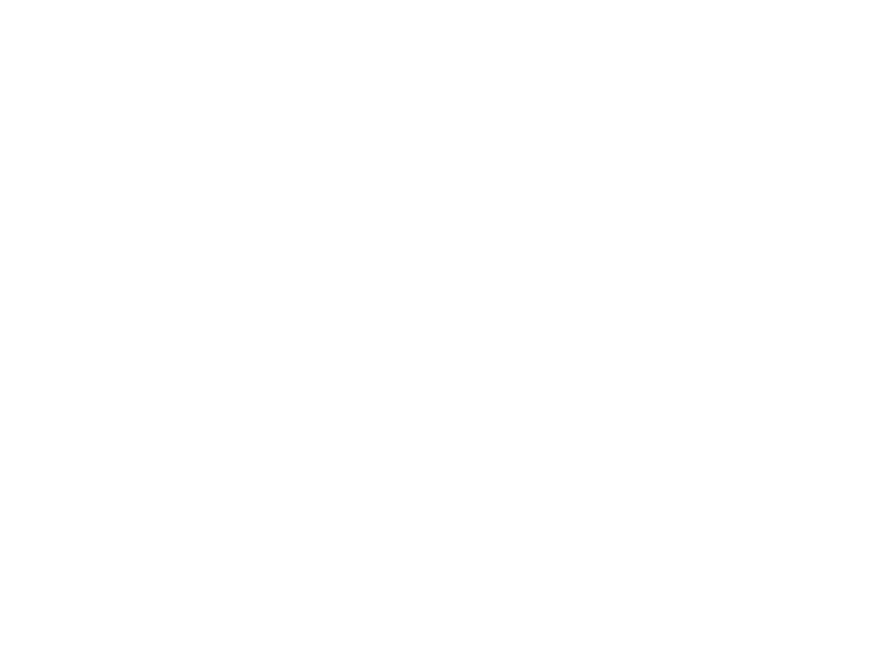 Fanny Calligraphie