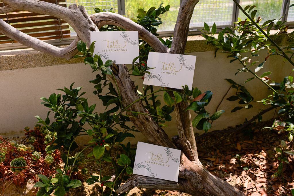 Noms de tables illustrés avec des feuilles d'olivier dessinées